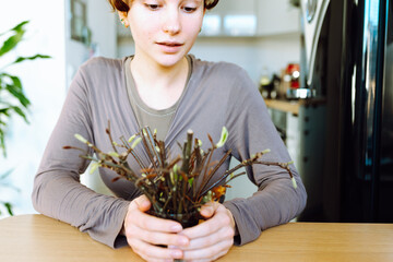 rooting cuttings of fruit trees