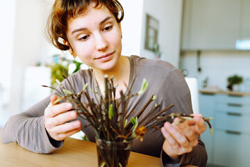 rooting cuttings of fruit trees