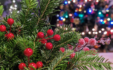 Zbliżenie na świąteczną dekorację z czerwonymi jagodami © PIOTR D