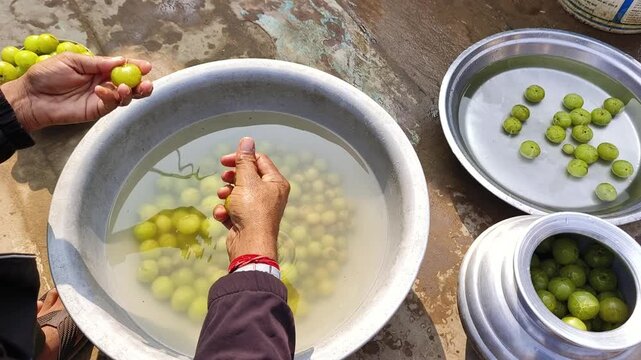 Man and Woman Washing Amla for Homemade Pickle Preparation in Traditional Indian style.
