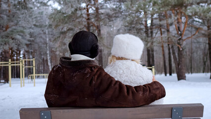 Pairs In Winter, Retired Partners Basking In Winter Sun, Couple Seated Peacefully On Park Bench Enjoying Snow Scene, Older Individuals Relaxing Together Outdoors During Chilly Snowy Morning