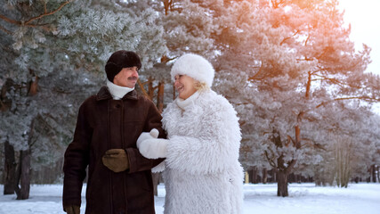 Couple Relishing Serene Winter Stroll, Happy Seniors Enjoying Tranquil Walk Amidst Chilly Winter Atmosphere, Content Retired Couple Taking Peaceful Walk And Sharing Warmth Outdoors During Wintertime