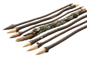 extreme macro shot of primitive wooden arrow shafts, dark textured bark, pale wood arrowheads, and gray lichen, high-key studio shot on white emphasizing ruggedness concept of primitive survival