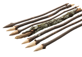 extreme macro shot of primitive wooden arrow shafts, dark textured bark, pale wood arrowheads, and gray lichen, high-key studio shot on white emphasizing ruggedness concept of primitive survival
