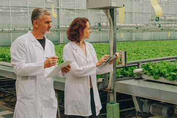 Laboratory experts assess plant lines, Scientists examine crop conveyor systems carefully, Team of specialists analyze greenery along conveyor belts using digital devices for quality control