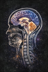 Sagittal section of the human head and neck, MRI-based generative ai illustration showing brain anatomy, cervical spine, and spinal cord