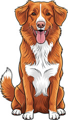 Nova Scotia Duck Tolling Retriever dog sitting happy panting smiling pose