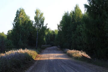 Dirt road at the end of summer In the rays of the evening sun