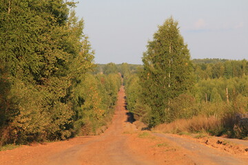 A concrete slab road running through a forest in northeastern Europe in late summer