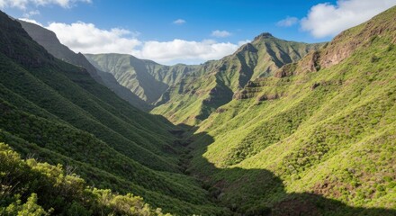 Naklejka premium A deep, verdant valley stretches between towering green, rocky mountains under a blue sky