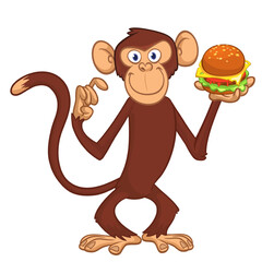 Cartoon funny monkey chimpanzee holding hamburger or cheesburger in his hands. Vector illustration of happy monkey character design isolated.