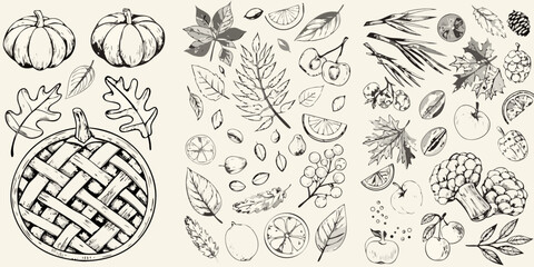 Vintage autumn illustration featuring pumpkins leaves fruits and a woven pie basket © Sujal