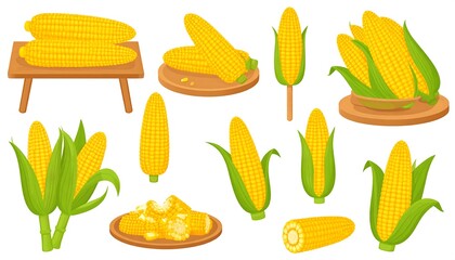 Assorted Corn Cobs and Ears Illustration.