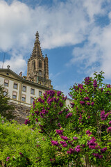 Purple lilac flowers on a background of the Bern Cathedral, Switzerland