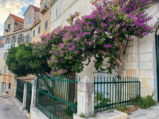 Bright bougainvillea blossoms spill over the facade of a traditional Mediterranean stone building....