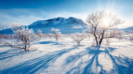 Arctic winter landscape with snow covered trees and hills under clear blue sky, bright sun casting long shadows on white ground, ice crystals on branches creating a serene and magical scene.