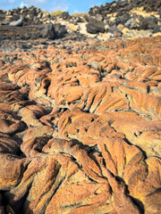 CLOSE UP, DOF: Textured, wrinkled surface of cooled lava with its intricate details and varied shades of brown and dark grey. Unique and abstract relief patterns of ancient geological formations.