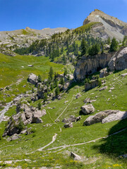 Winding paths crisscross green alpine valley, dotted with large rocks and sparse trees. Majestic mountains form dramatic backdrop under clear blue sky. Exploring remote and stunning natural setting.