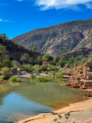 Natural pool reflects blue sky and lush palm trees in Paradise Valley. Moroccan oasis is nestled between rugged mountains and rocky shores, perfect hidden spot for relaxation and escape from heat.