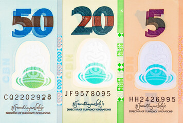 Naira Nigeria banknotes of various denominations. Money of Africa. New polymer money of Nigeria