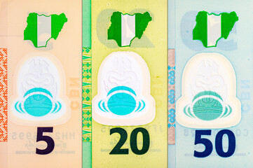 Naira Nigeria banknotes of various denominations. Money of Africa. New polymer money of Nigeria