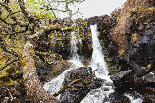 Waterfall in a rocky gorge on the Isle of Mull, Scotland. Fast white water rushing over dark boulders with moss and woodland branches. Dramatic Scottish nature landscape.