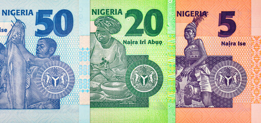 Naira Nigeria banknotes of various denominations. Money of Africa. New polymer money of Nigeria
