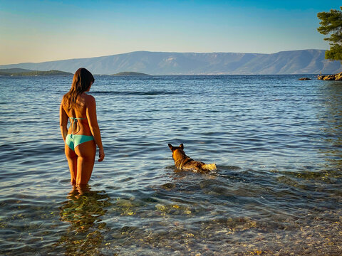 Young woman in a bikini and her brown shepherd dog getting ready to swim in crystal clear water of Adriatic Sea. Joy of simple coastal living and relaxing times during summer holidays in Croatia.