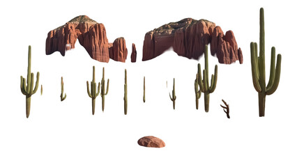 Arizona desert landscape with saguaro cacti PNG isolated on transparent background, southwestern scenery for compositing and design © Maria