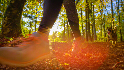 LENS FLARE, CLOSE UP, LOW ANGLE VIEW: Sporty woman and her dog running along forest trail covered in autumn leaves. Bright sunlight floods the path, creating picturesque atmosphere for a morning run.