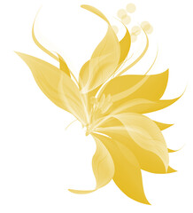 Flower botanical light close up with dreamy petals and clean background