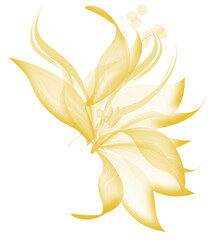 Flower botanical light image showing delicate petals and calm soft mood