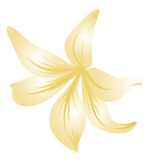 Yellow flower petal floral illustration for background and design use