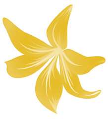 Yellow flower petal close up floral art with simple botanical style