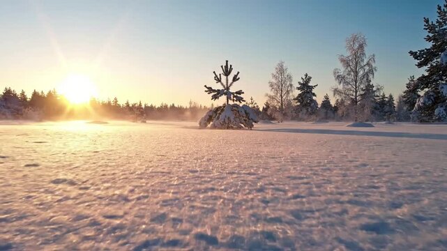Windblown Snow Sparkle winter Close up of subtle, wind drifted snow catching light as it moves across a frozen surface. A