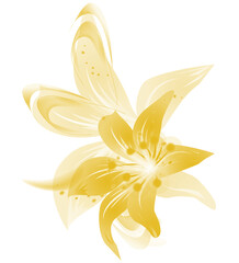 Yellow Lily Flower with Soft Petals and Natural Floral Botanical Design