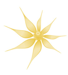 Abstract Flower Design Minimal Yellow Floral Shape Digital Art