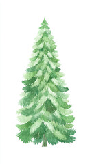 Obraz premium Festive green spruce tree watercolor illustration, isolated evergreen on white background for Christmas and winter designs