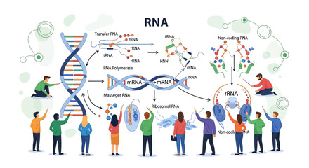 RNA synthesis and translation mechanism presented by cartoon people for teaching purposes
