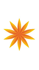 A vibrant orange flower with multiple petals on a white background