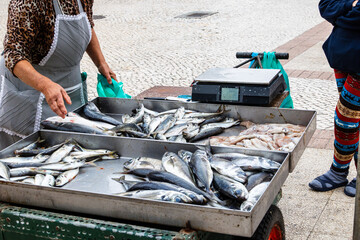 Woman selling fresh fish on street cart in coastal town, Portugal, Ovar &ndash; Furadouro, 9.10.2025