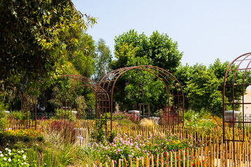 Colorful botanical garden with flower beds and metal arches France, Corsica, Ajaccio, 13 June 2025