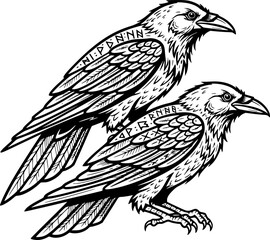 Fototapeta premium Norse Myth Odin's Ravens Line Art Vector 