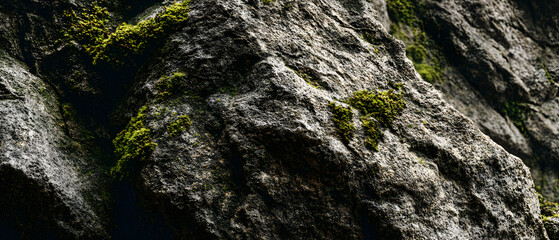Rock texture moss stone nature rough background panorama cliff forest detail Natural rock texture with rough stone surface and soft moss detail nature background forming rugged panorama that feels