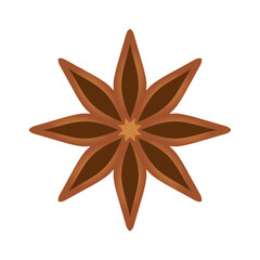 star anise vector illustration isolated on white background