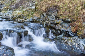 Fototapeta premium A stream winding through a forest in Norway during autumn.