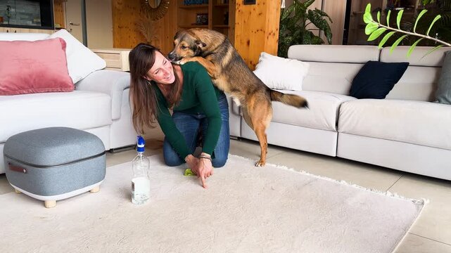Dog owner kneels on floor cleaning a spot on a white rug with spray bottle and cloth. Dog walks by and licks woman on face, seemingly apologizing for mess. Relatable and funny moment of pet ownership.
