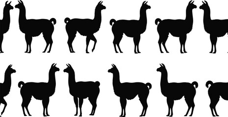 llama silhouettes set, alpaca farm animal collection, black vector wool mammals, standing poses, rural livestock clipart bundle © MdMotakabir