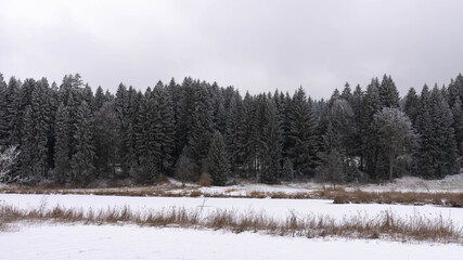 Trekking in the Woods around Hopfen in Bavaria Germany in Winter 2025 - Snow and Ice - Winter Hiking - High quality photo