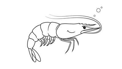 Fototapeta premium Simple black and white line drawing depicts a small shrimp swimming through the water, complete with tiny bubbles rising from its head.